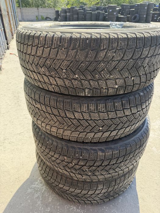 Шины зимние michelin R21