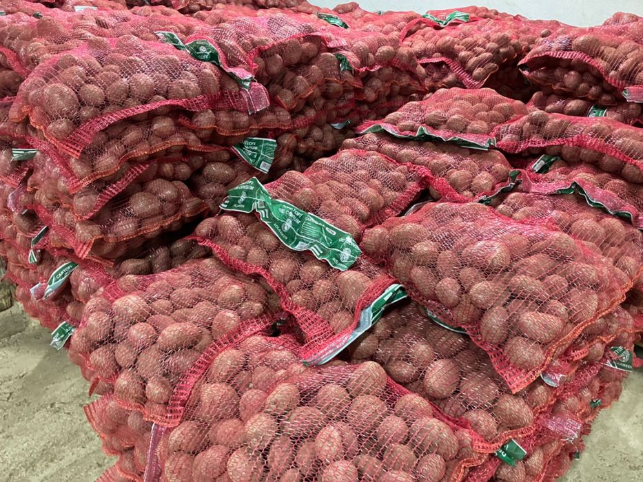 Cartofi consum, rosu, 90 bani/ kg