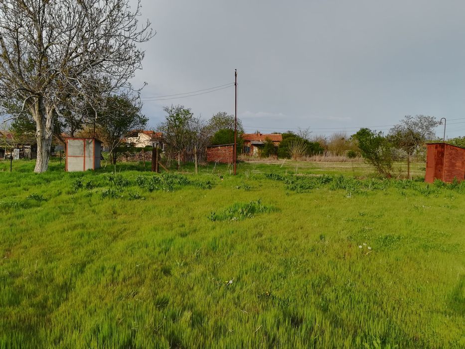 Дава се под наем Парцел в с. Калояново, Област Пловдив - 1000 кв.м за 102 € - Снимка #2