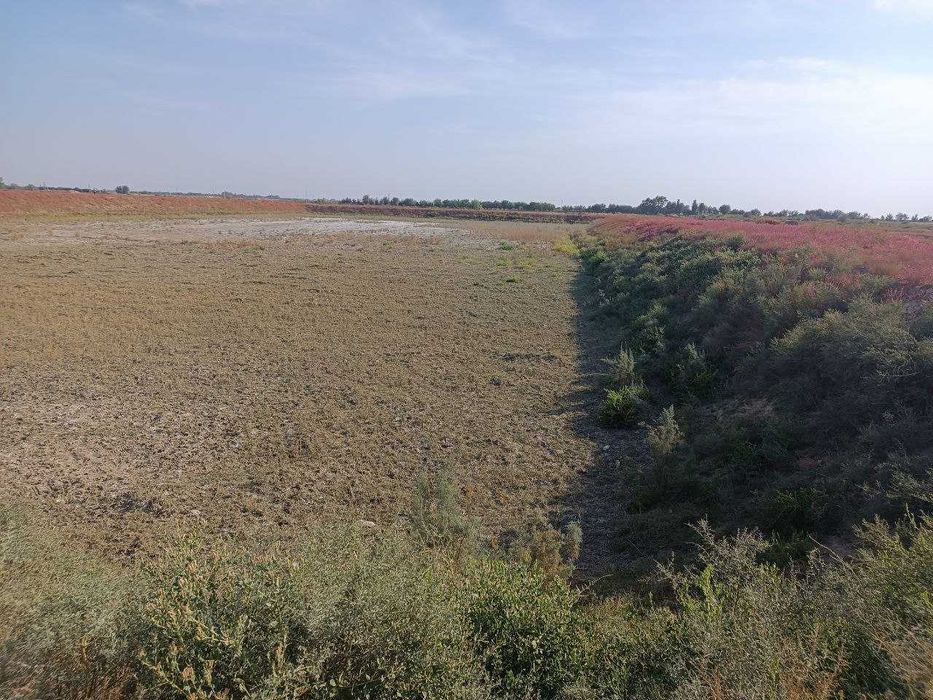 "Baliq xavzasi" mulki