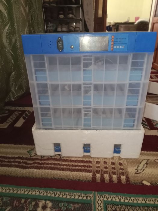 Инкубатор сатылады