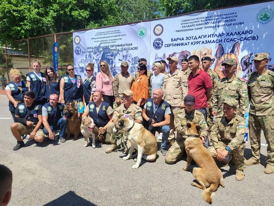 Дрессировка вашего  питомца. Инструктор Кинолог!