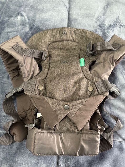 Кенгуру infantino