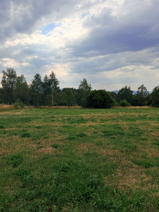 Teren de vânzare Dealu Negru-judetul Cluj