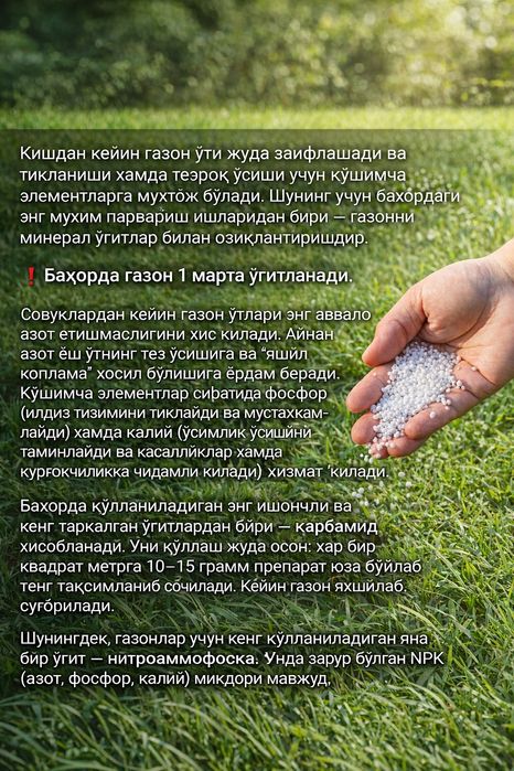 Газон! Под! Ключ!