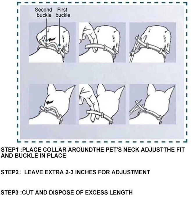 zgarda antiparazitara caini si pisici