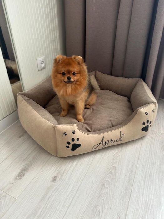 Лежанки для кошек и собак