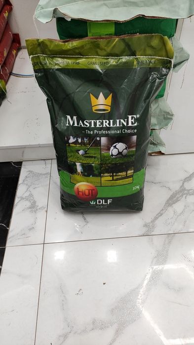 Gazon uruglari sifatli maxsulot xarxil turlari bor семена газона оптом