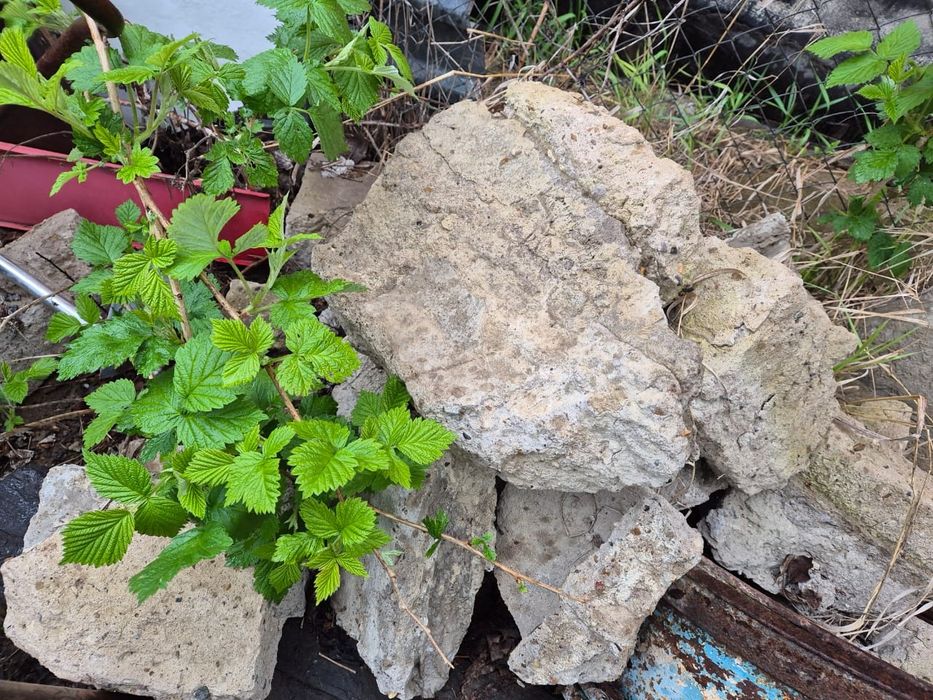 Продам бут. Самовывоз