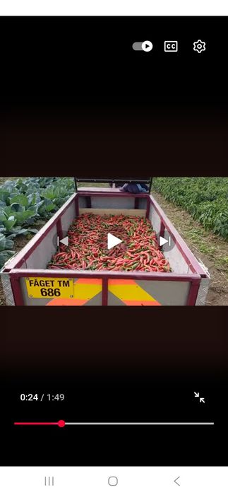 Boia de  casă sută la sută naturală