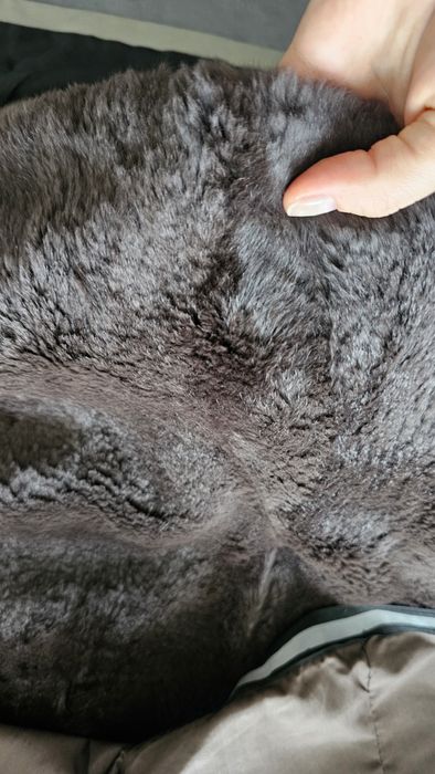 Парка демисезонная