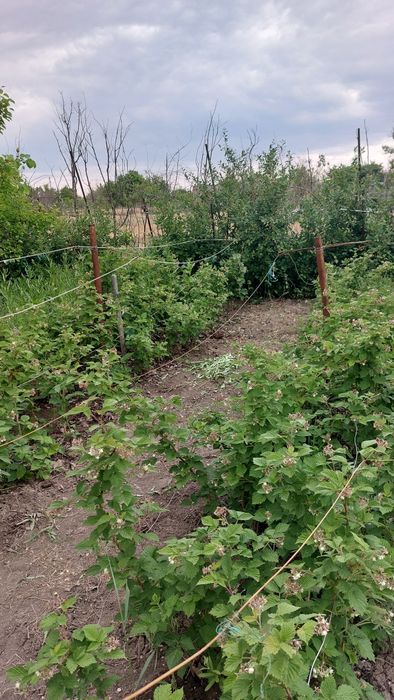 Продажа дачи на бугорках