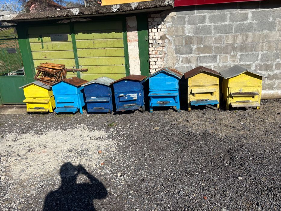 Кошери за пчели
