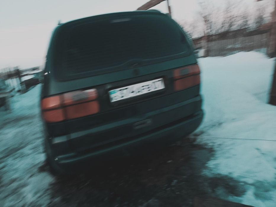 Шаран в нормальном состояний продается