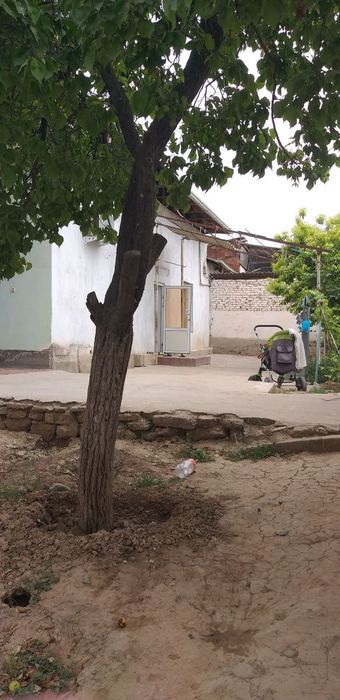 Xovli sotiladi 4.2 sutik 4 xona bor