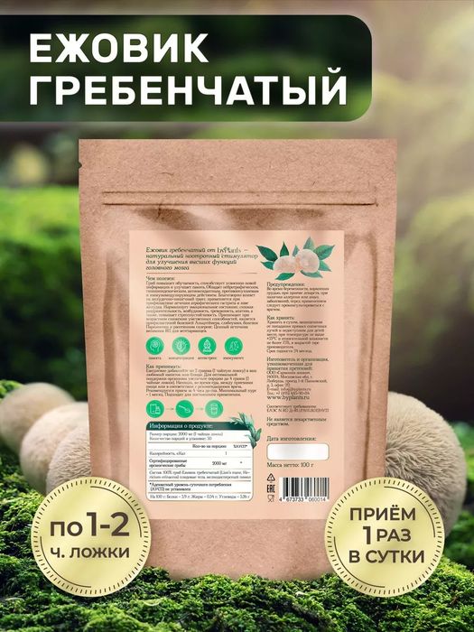 Lion's mane, он же Ежевик ежовик Гребечатый - 50% мицелий 50 плоды