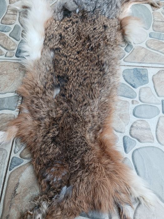 Красиви изделия от кост и кожа от див  заек