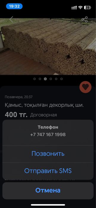 Декоративный камыш