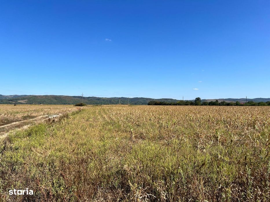 Teren 1600 mp – stradă cu case, zona linistita – Podenii Noi