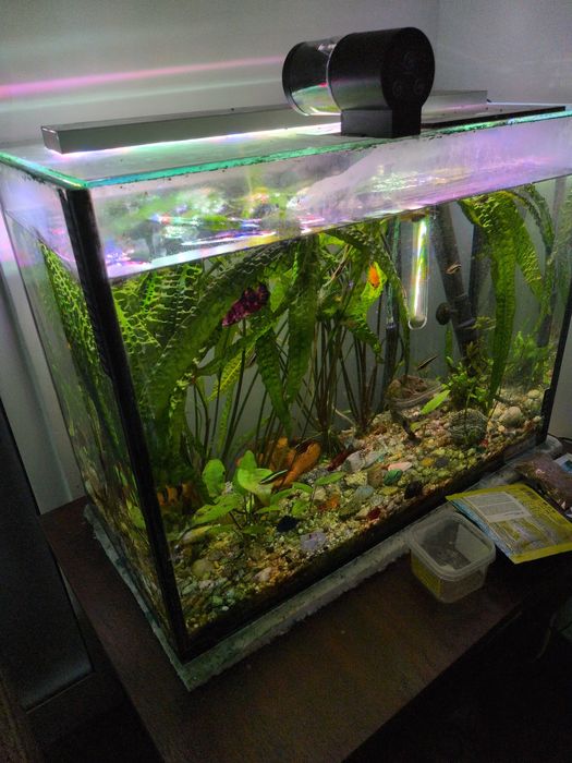 acvariu complet 80 l