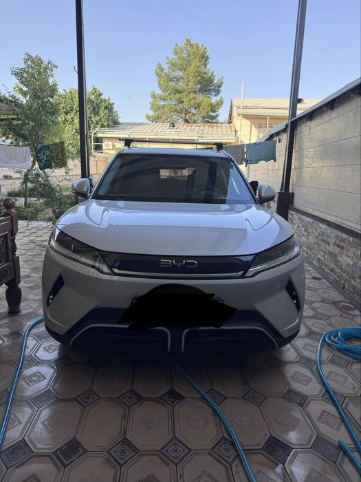 Yuna up Byd 2025