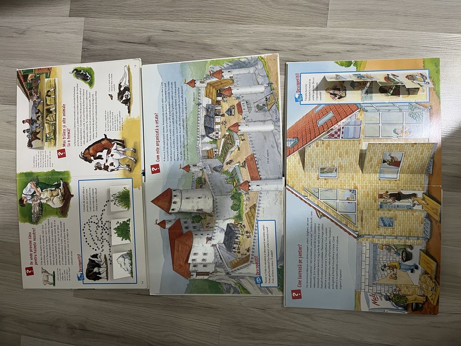 Colectie carti cu clapete Ce si Cum junior