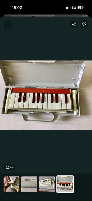 Triola Simona Expovita