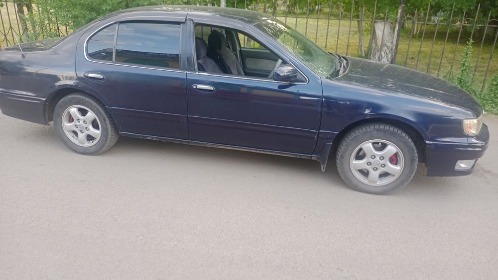 Продам цефирика на полном ходу