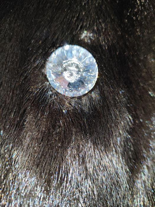 Шуба норковая размер.58-60