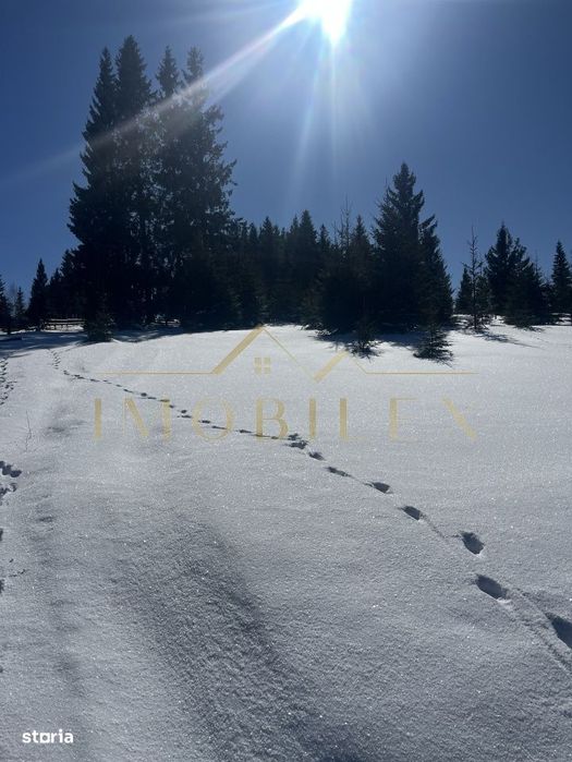 Teren intravilan 800 mp, PUZ , 200m de partia de schi Marisel