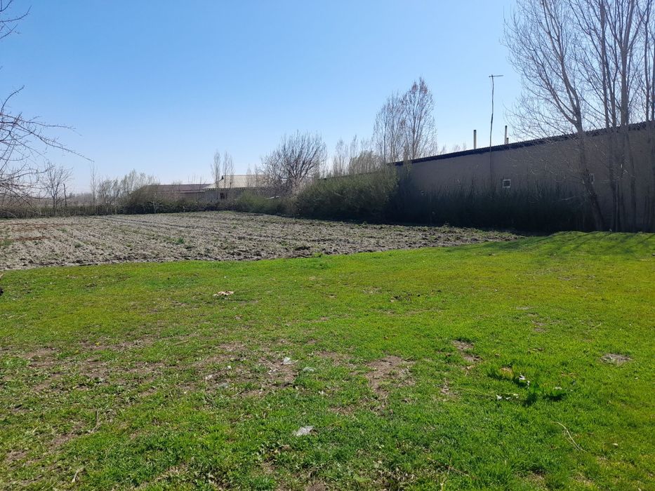 Кадастири бор ер участка. Булунгур Октепа да 58 соток.