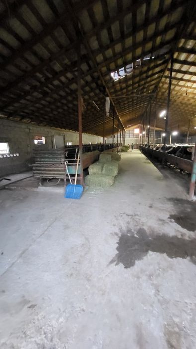 Продам дом с фазендой