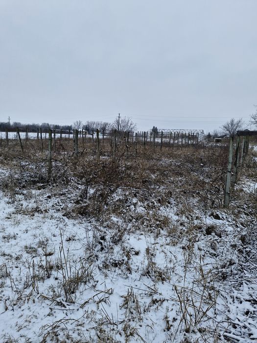 Teren intravilan  Podu Iloaiei