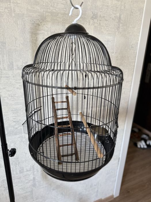 Stoyka kletka popugay uchun