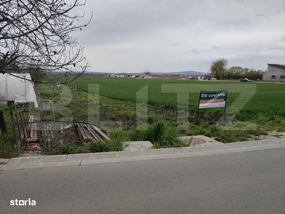 Teren 8600 mp in Podgoria