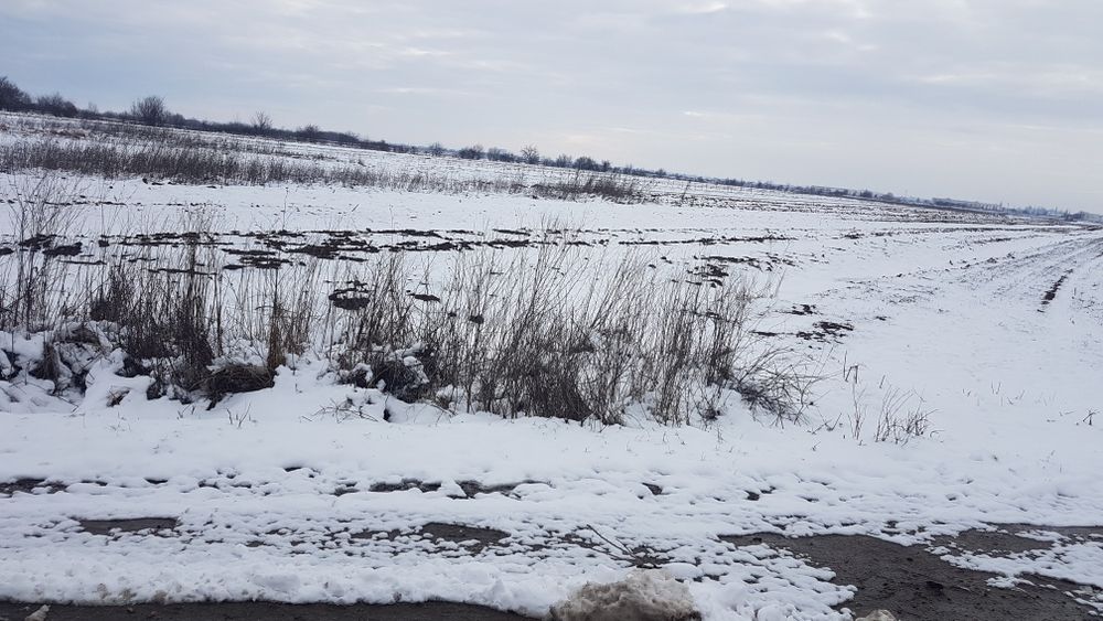 Teren intravilan langa padure