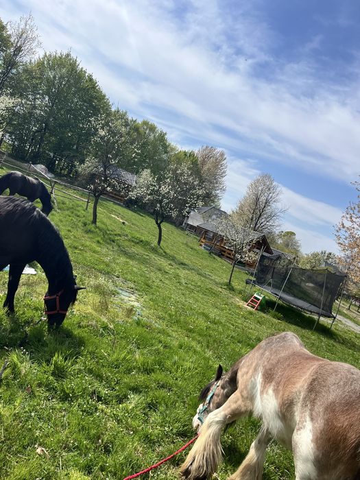 Vand teren intravilan la 3km de Baia Mare