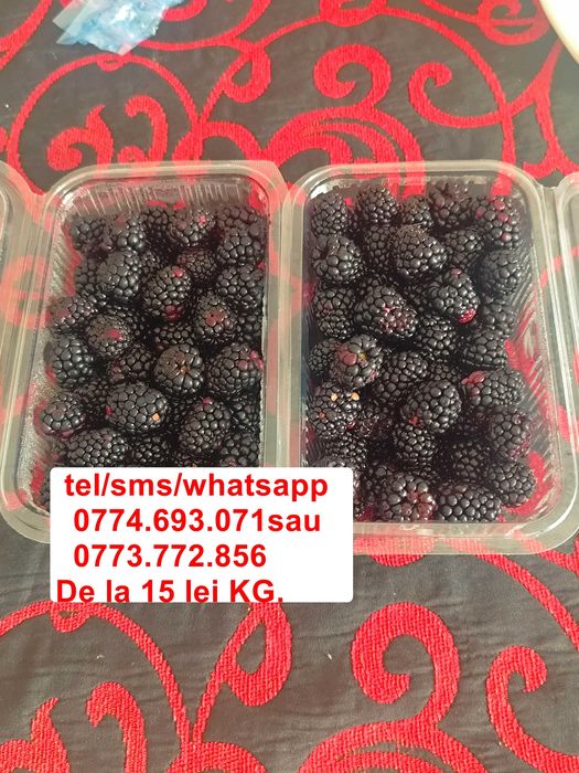 Vand mure, prune, mere și alte fructe