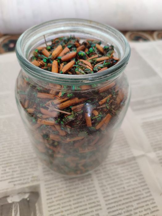 Инцест ана порно