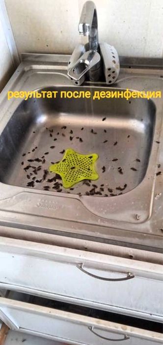 Дезенфекция дизенсекция дератиция клоп таракан dizinfeksiy 20% скидка