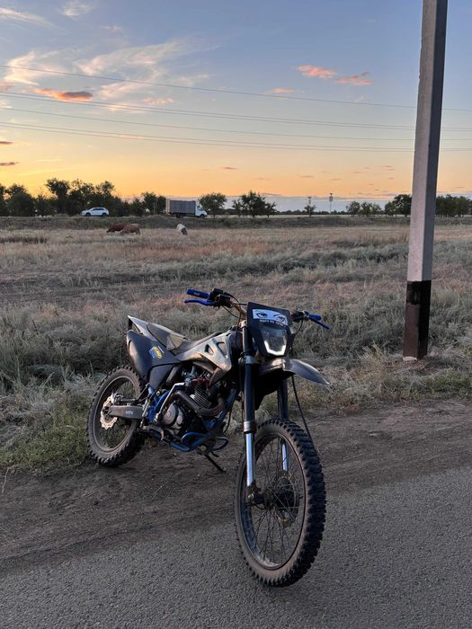 Прогаси пальма 250