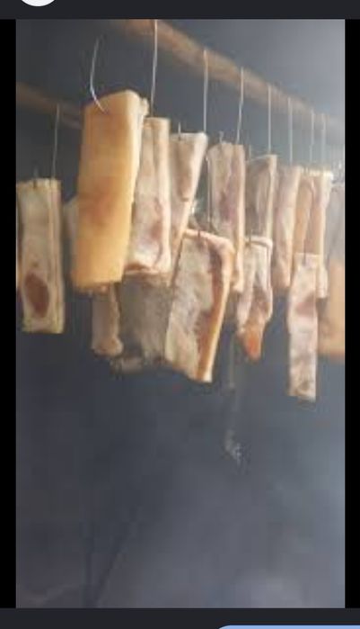 Rumegus de fag curat pentru afumat