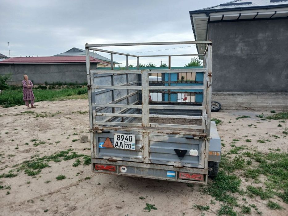 Moshina uchun tilichka