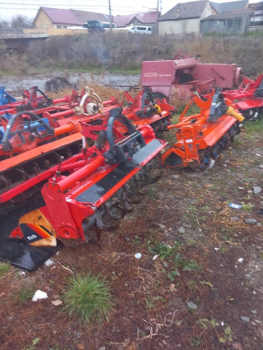 Freze de pământ japoneze aduse recent im țara