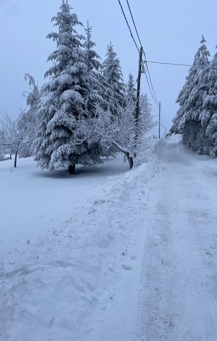 Teren de vânzare în Sinteu