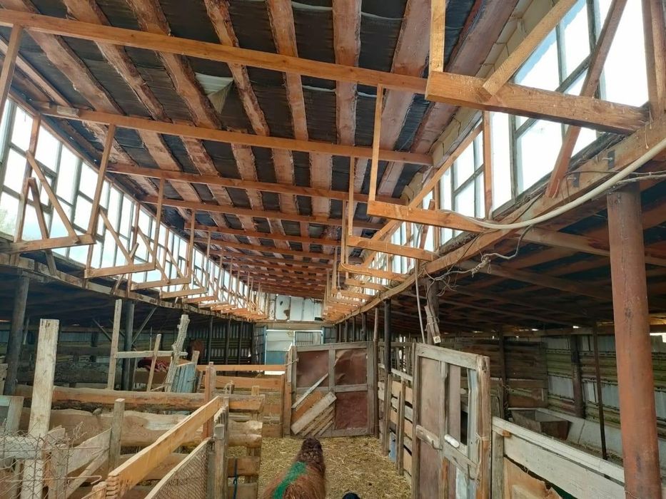 Магазин, дом , фазенда