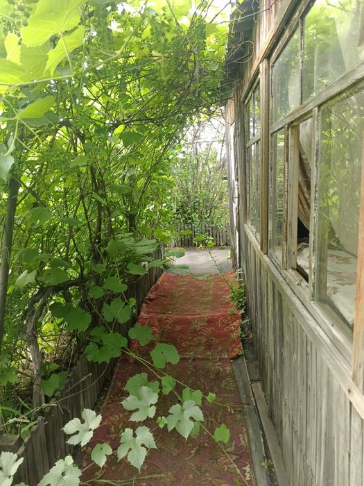 Продам дачу 17 маршрут 1 общество