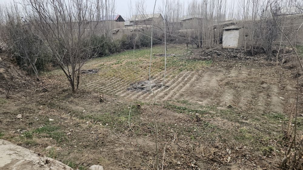 Hovli 5 ta xonasi bor tomarqasi bn birga