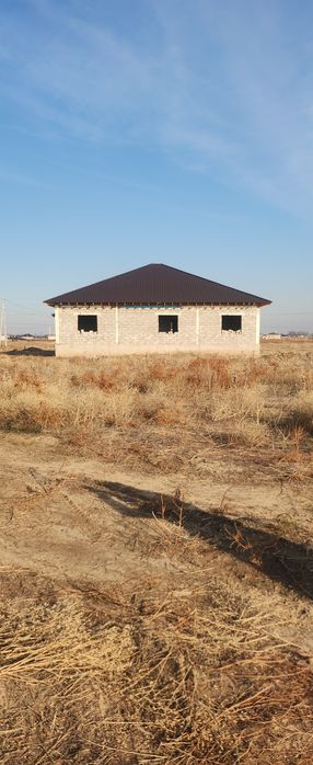 Кокозек вдоль БАКАДА