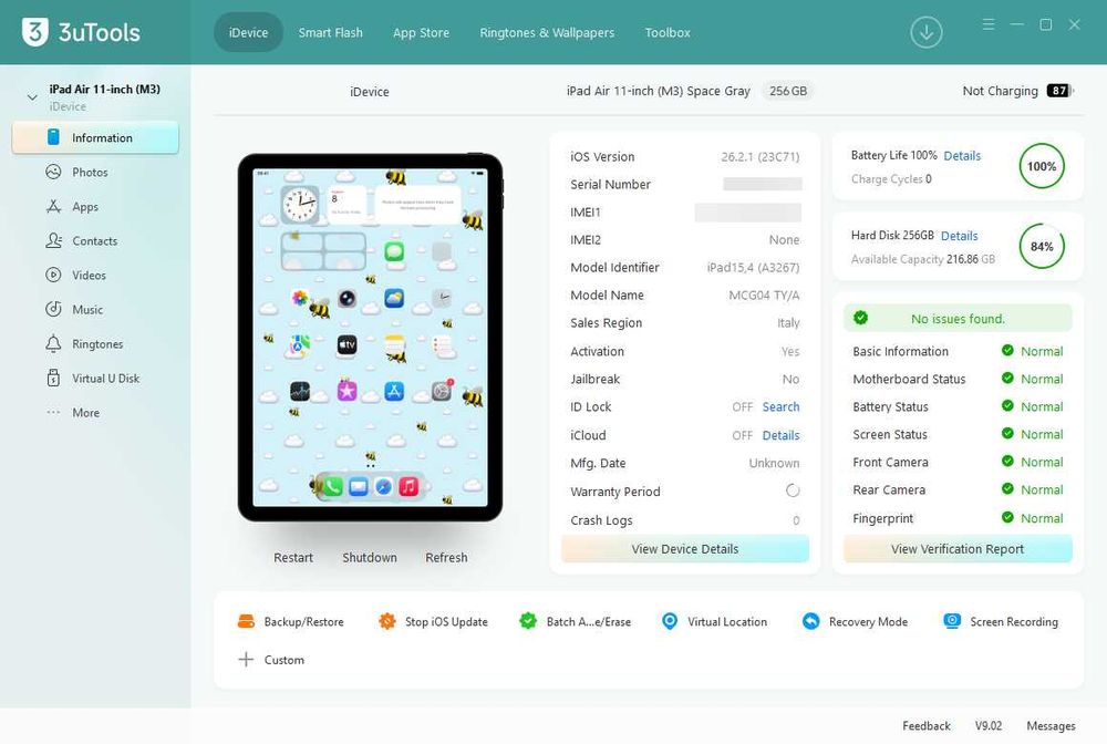 iPad air 11 2025 M3 256 gb wifi cellular